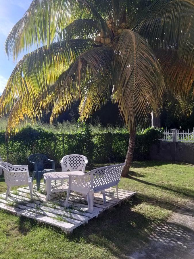 Aquaverde Eco Et Confort- Bas De Villa Avec Jardin Et Parking Le Gosier  Exteriör bild